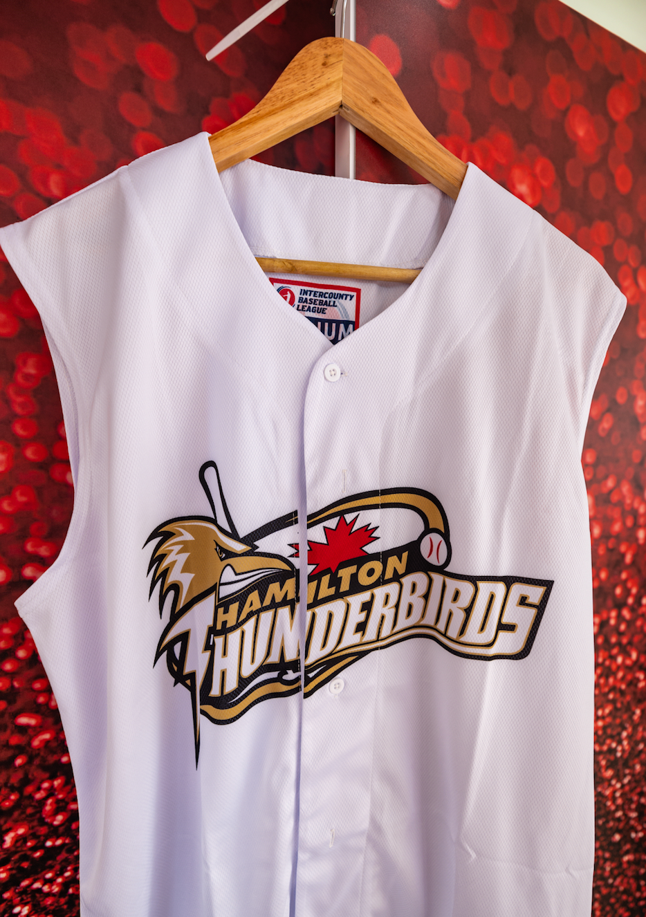 Hamilton Thunderbirds Authentic Jersey