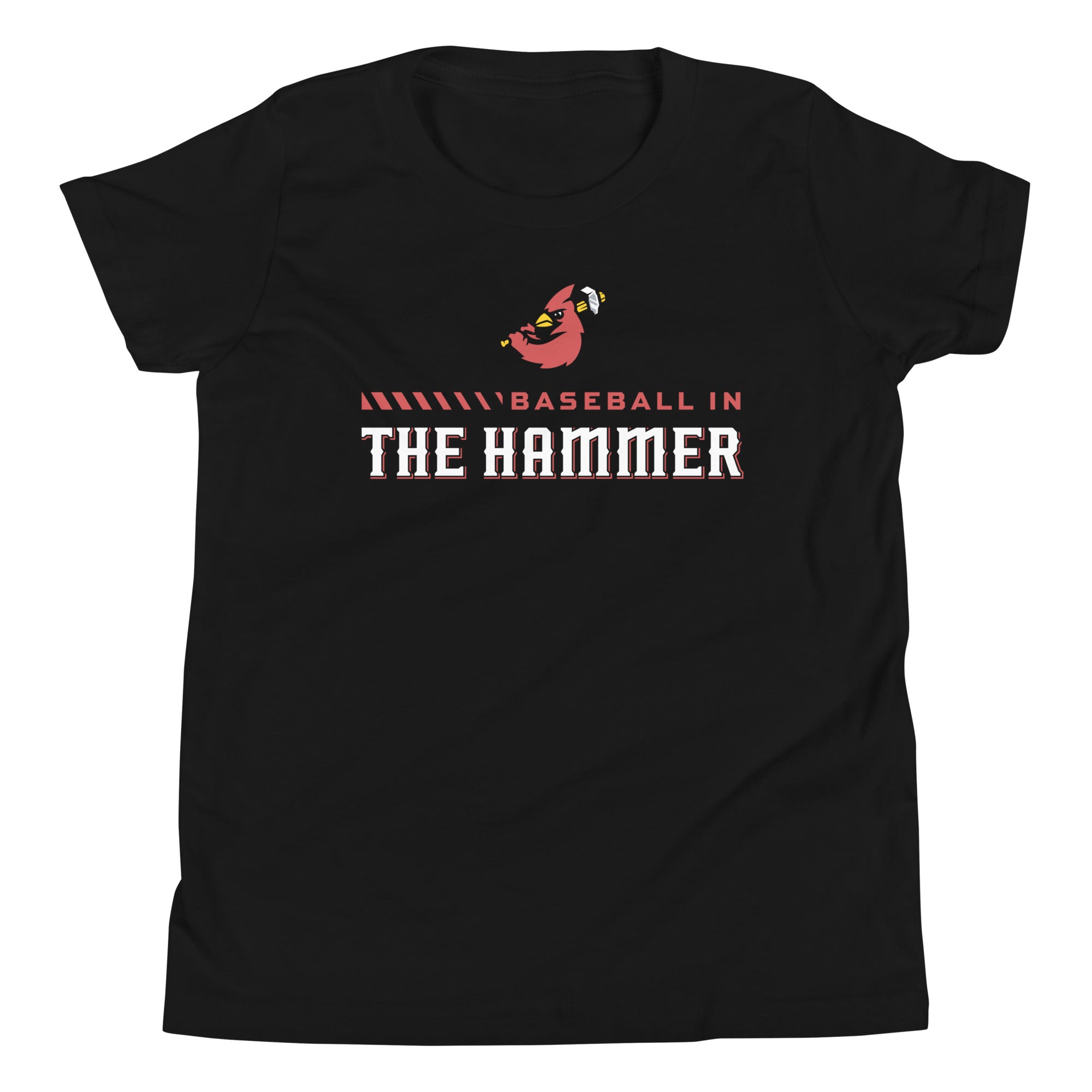 Youth Baseball in the Hammer Shirt
